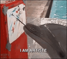 artist-dolphin