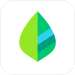 Mint App Logo