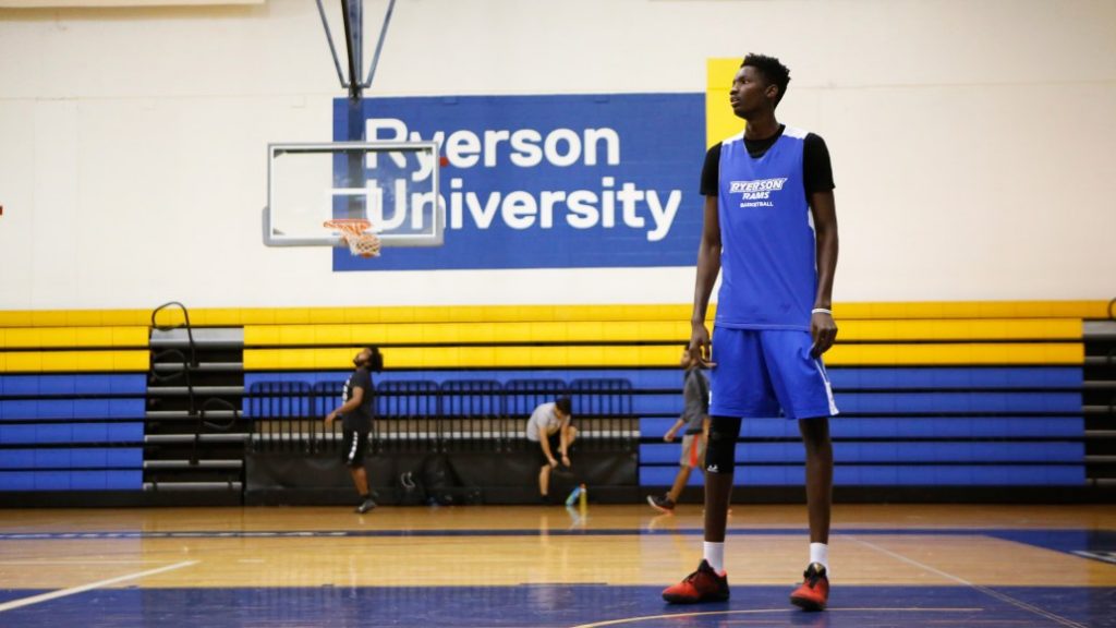 Basketball Dreams The Next NBA Star Might Be Playing for Ryerson
