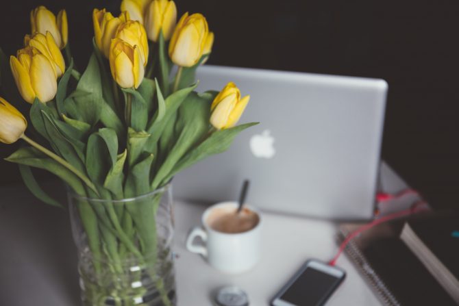 yellow flowers in front of open macbook