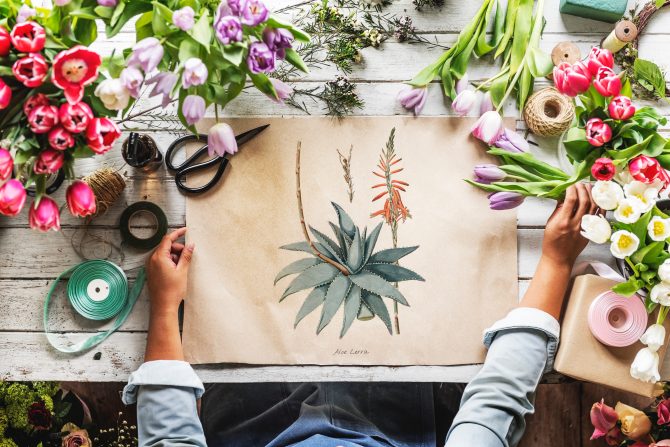 drawing of pink and green plants