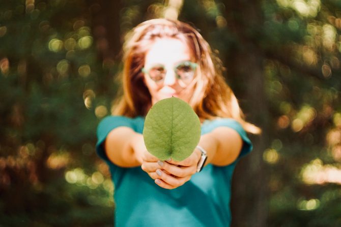 sustainability, holding green leaf