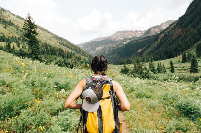 hiking, greenery