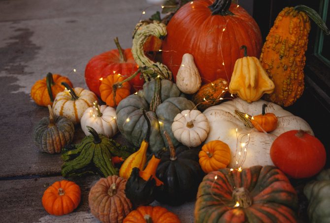 pumpkins and gourds