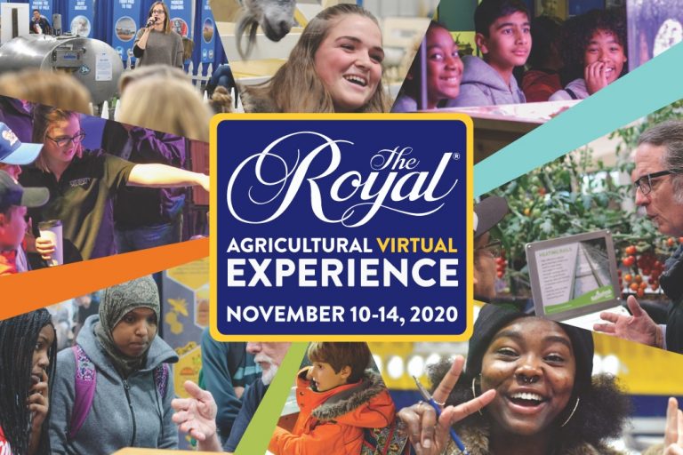 6 Reasons You Should Attend the Virtual Royal Agricultural Winter Fair